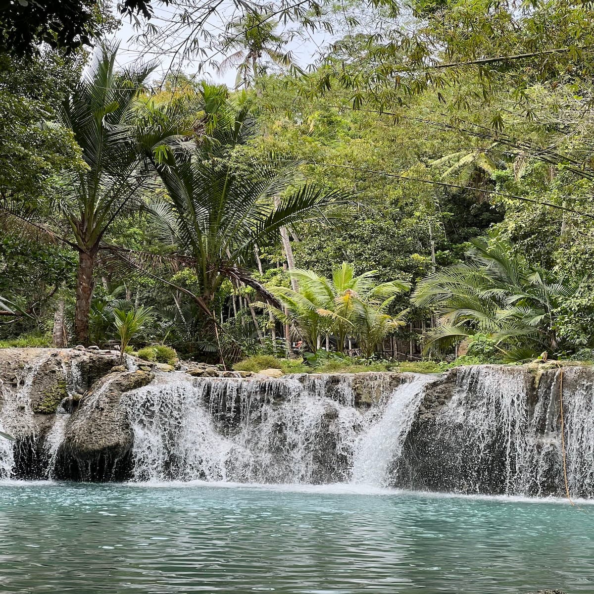 Serene view of waterfall through jungle canopy