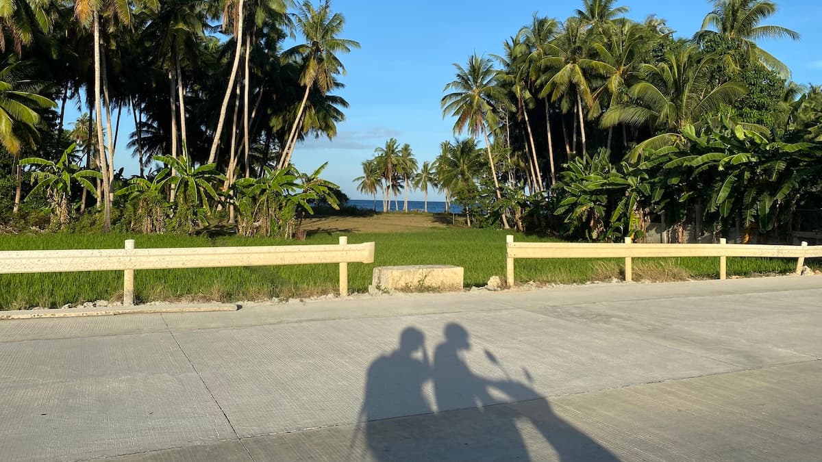 Two people on scooter riding past palm trees with ocean in background
